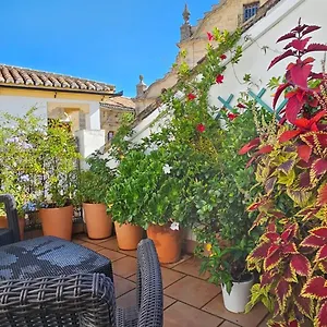 Descalzos Angel With Private Terrace Free Parking Apartment